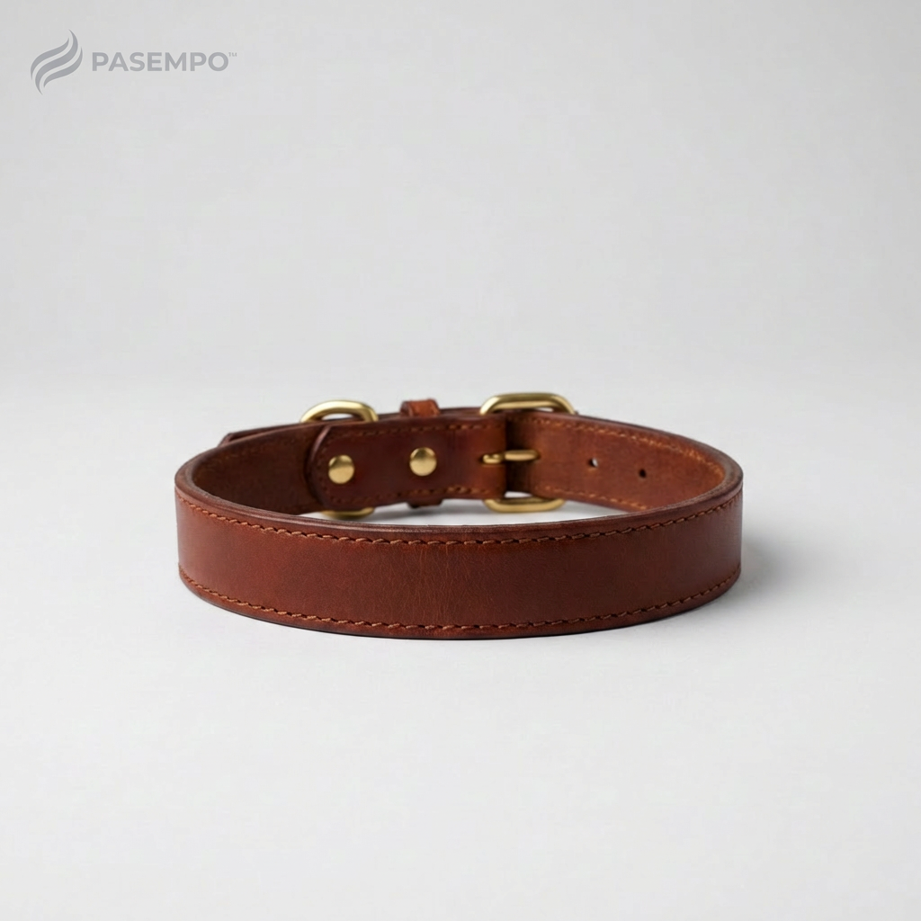 PASEMPO™ SaddleCraft Leather Pet Collar